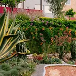 Terra Vista